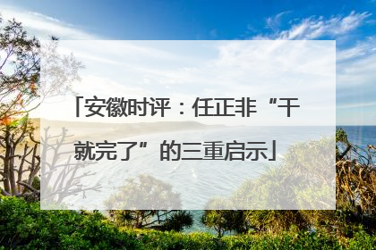 安徽时评：任正非“干就完了”的三重启示