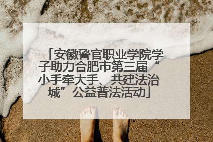 安徽警官职业学院学子助力合肥市第三届“小手牵大手、共建法治城”公益普法活动