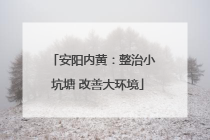 安阳内黄：整治小坑塘 改善大环境