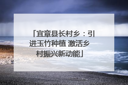 宜章县长村乡：引进玉竹种植 激活乡村振兴新动能
