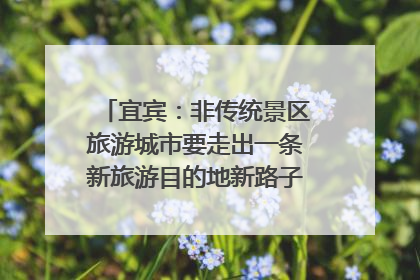 宜宾：非传统景区旅游城市要走出一条新旅游目的地新路子｜话锦绣·说安逸