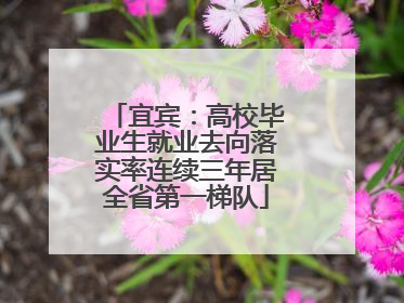 宜宾：高校毕业生就业去向落实率连续三年居全省第一梯队