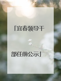 宜春领导干部任前公示