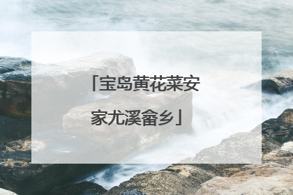 宝岛黄花菜安家尤溪畲乡
