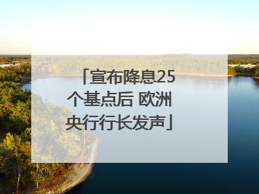 宣布降息25个基点后 欧洲央行行长发声