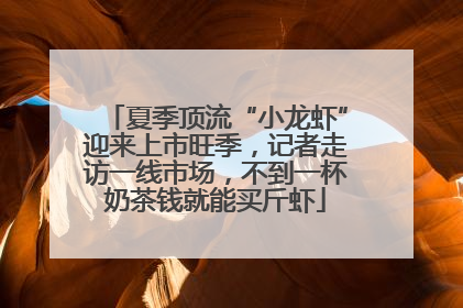 夏季顶流“小龙虾”迎来上市旺季，记者走访一线市场，不到一杯奶茶钱就能买斤虾