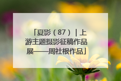 夏影（87）｜上游主题摄影征稿作品展——周社根作品
