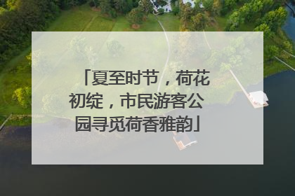夏至时节，荷花初绽，市民游客公园寻觅荷香雅韵