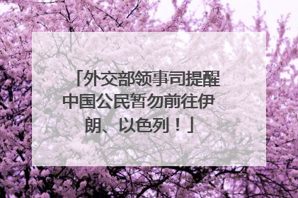 外交部领事司提醒中国公民暂勿前往伊朗、以色列！