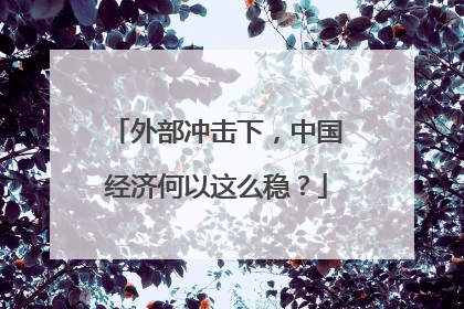外部冲击下，中国经济何以这么稳？