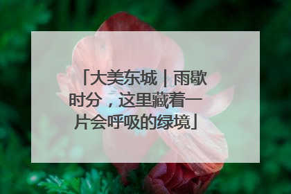 大美东城｜雨歇时分，这里藏着一片会呼吸的绿境