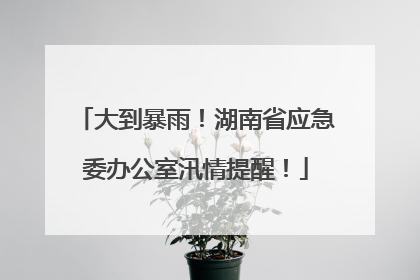 大到暴雨！湖南省应急委办公室汛情提醒！