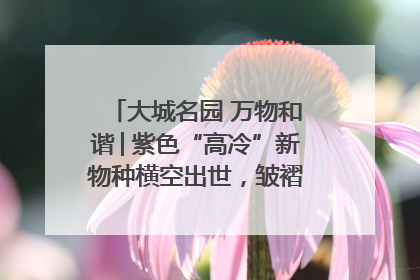 大城名园 万物和谐│紫色“高冷”新物种横空出世，皱褶叶片暗藏进化密码