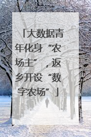 大数据青年化身“农场主”，返乡开设“数字农场”