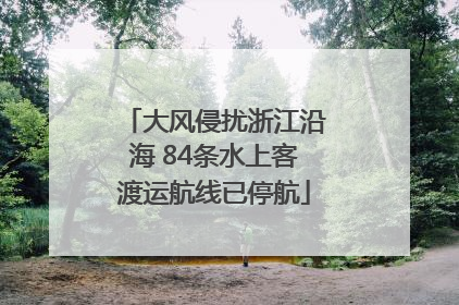 大风侵扰浙江沿海 84条水上客渡运航线已停航