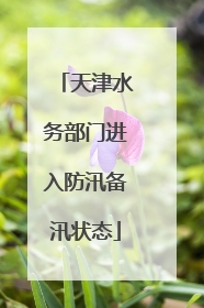天津水务部门进入防汛备汛状态