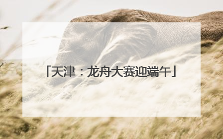 天津：龙舟大赛迎端午