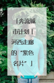 奔流城市计划丨河西走廊的“紫色名片”