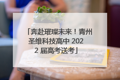 奔赴璀璨未来！青州圣维科技高中 2022 届高考送考