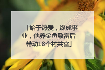 始于热爱，终成事业，他养金鱼致富后带动18个村共富