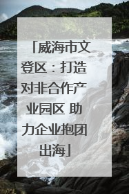 威海市文登区：打造对非合作产业园区 助力企业抱团出海
