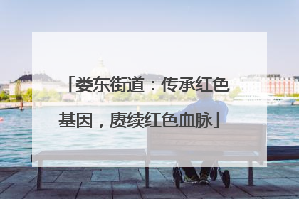 娄东街道：传承红色基因，赓续红色血脉