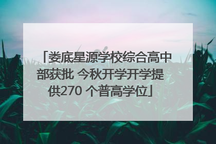 娄底星源学校综合高中部获批 今秋开学开学提供270 个普高学位