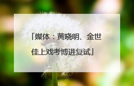 媒体：黄晓明、金世佳上戏考博进复试