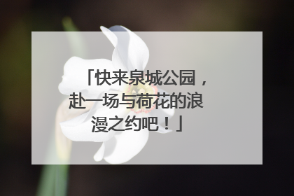 快来泉城公园，赴一场与荷花的浪漫之约吧！