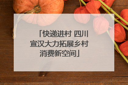 快递进村 四川宣汉大力拓展乡村消费新空间