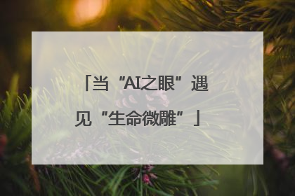 当“AI之眼”遇见“生命微雕”