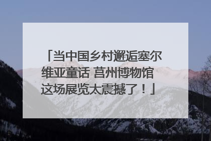 当中国乡村邂逅塞尔维亚童话 莒州博物馆这场展览太震撼了！