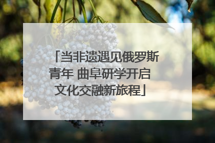 当非遗遇见俄罗斯青年 曲阜研学开启文化交融新旅程