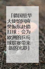 德国驻华大使馆回应樊振东赴德打球：会为欧洲的乒乓球联赛带来新的光彩