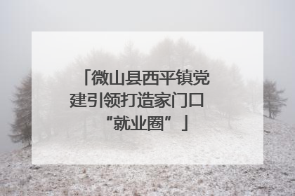 微山县西平镇党建引领打造家门口“就业圈”