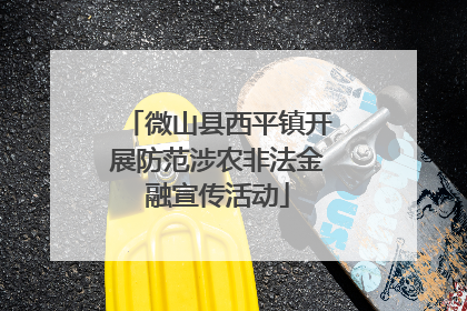 微山县西平镇开展防范涉农非法金融宣传活动