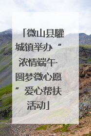 微山县驩城镇举办“浓情端午·圆梦微心愿”爱心帮扶活动