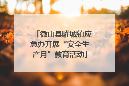 微山县驩城镇应急办开展“安全生产月”教育活动