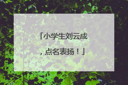 小学生刘云成，点名表扬！