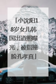 小沈阳18岁女儿韩国出道照曝光，被指撞脸孔孝真