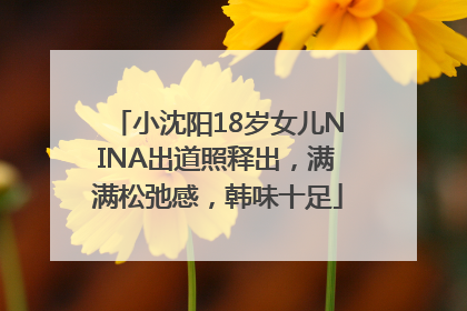 小沈阳18岁女儿NINA出道照释出，满满松弛感，韩味十足