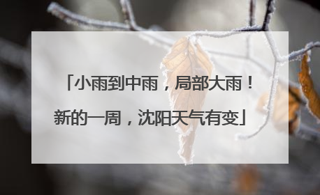 小雨到中雨，局部大雨！新的一周，沈阳天气有变