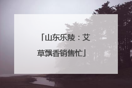 山东乐陵：艾草飘香销售忙