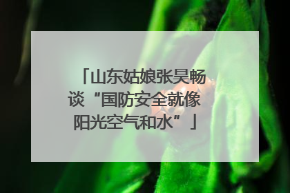 山东姑娘张昊畅谈“国防安全就像阳光空气和水”