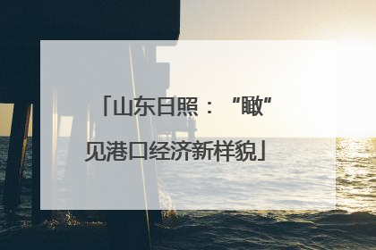 山东日照：“瞰”见港口经济新样貌