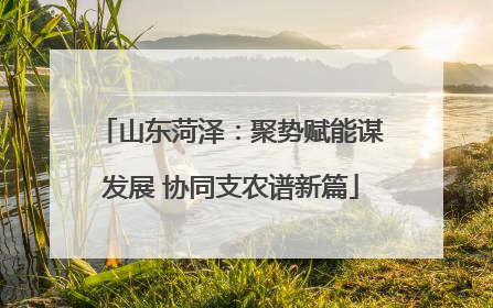 山东菏泽：聚势赋能谋发展 协同支农谱新篇