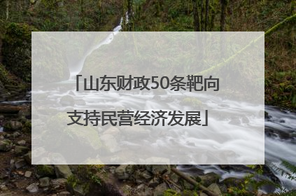 山东财政50条靶向支持民营经济发展