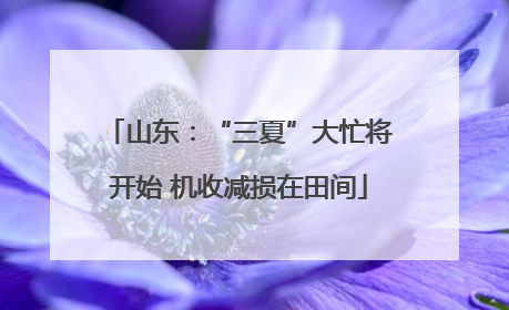山东：“三夏”大忙将开始 机收减损在田间
