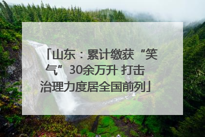 山东：累计缴获“笑气”30余万升 打击治理力度居全国前列