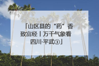 山区县的“药”香致富经丨万千气象看四川·平武③